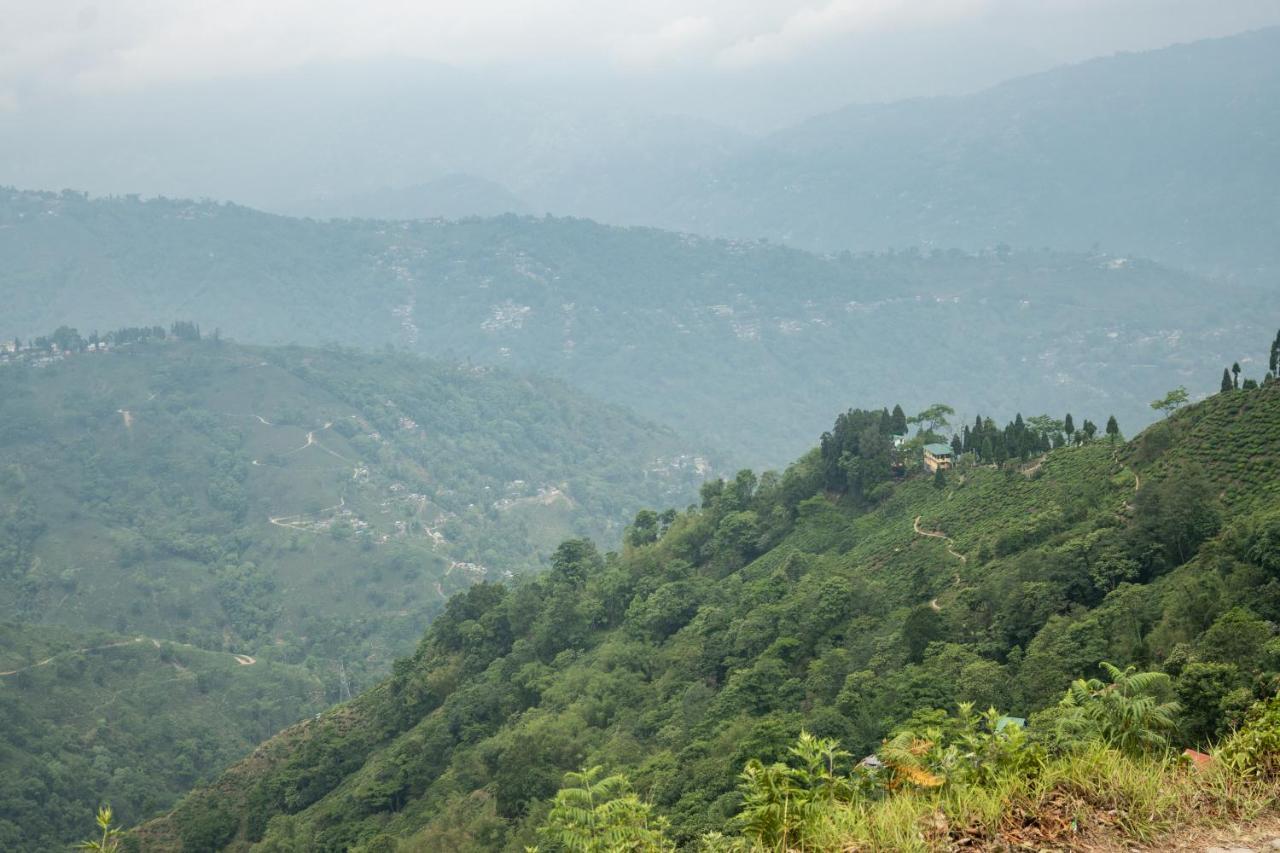 Arya Treetops And Tea Trails By Veo - Part Of Stayvista Darjeeling  Dış mekan fotoğraf